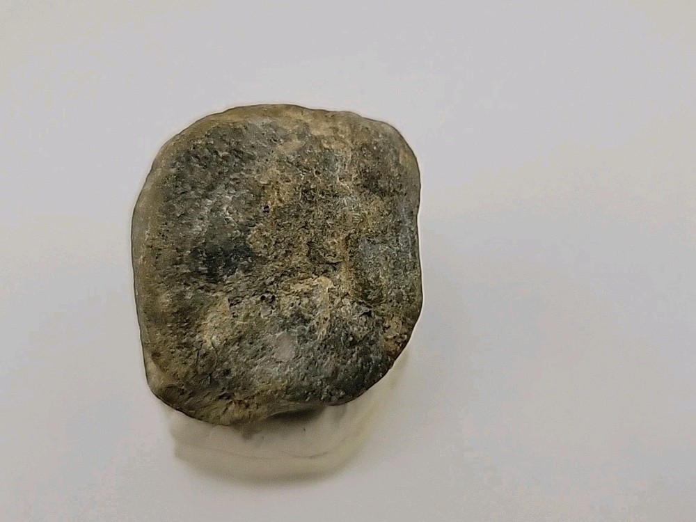 Real Permineralized Dinosaur Half Egg Embro Uv Reactive