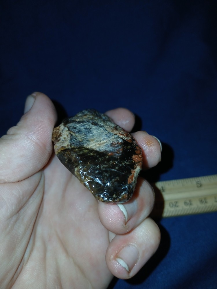 3 oz Agatized Petrified Wood