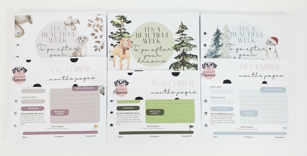 The Polkadot Planner Goal Setting Trainings Daily Summary
