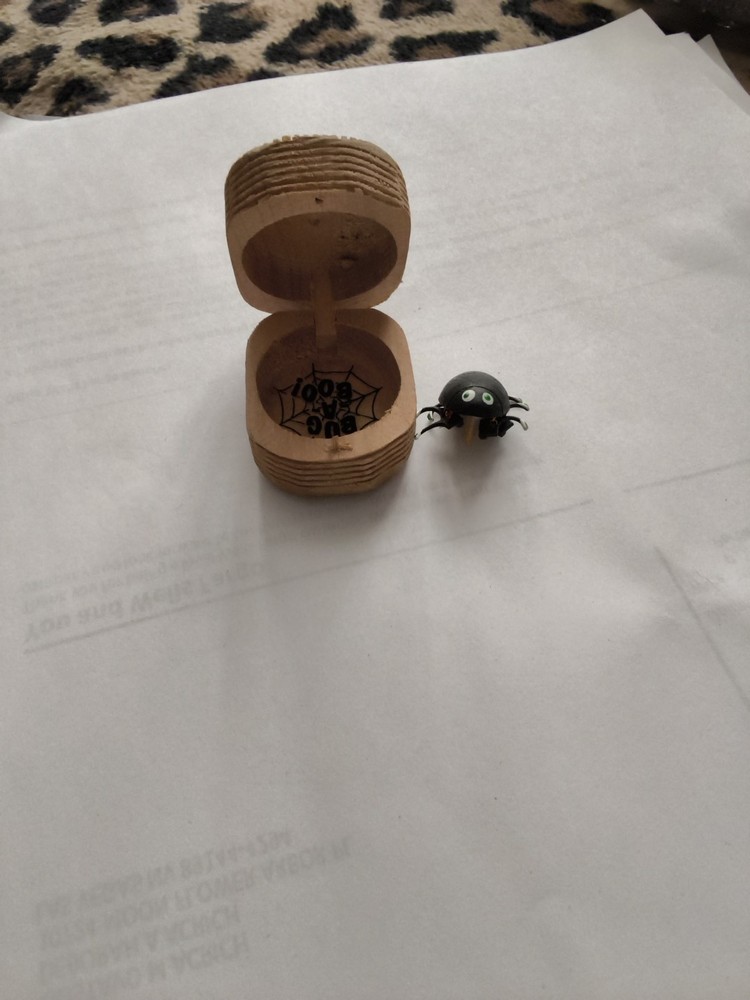 Unique Tiny Wooden Box Keychain With Wiggly Spider Inside