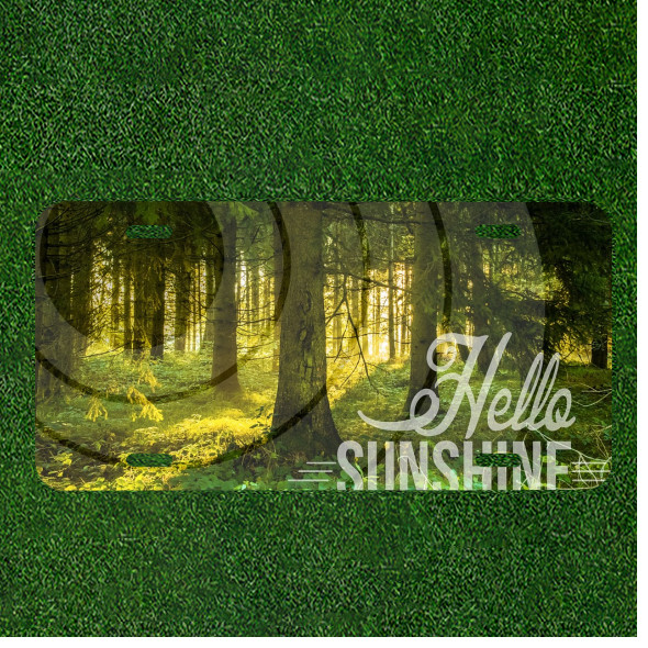 Custom Personalized License Plate Auto Tag With Hello Sunshine