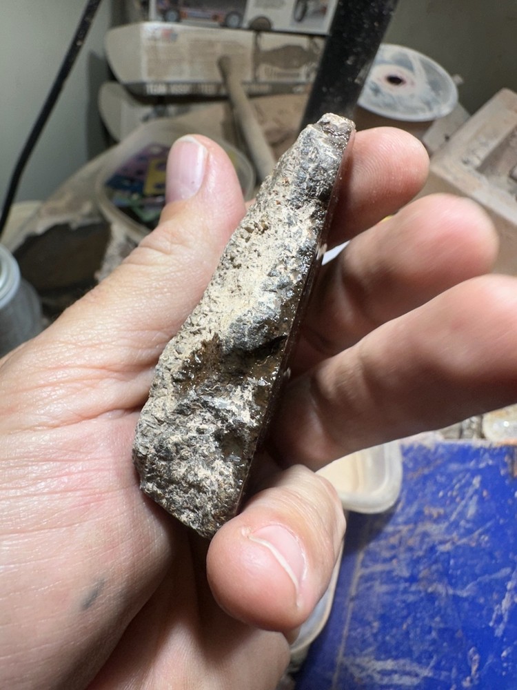 Dinosaur bone rough **hxtled end cut.