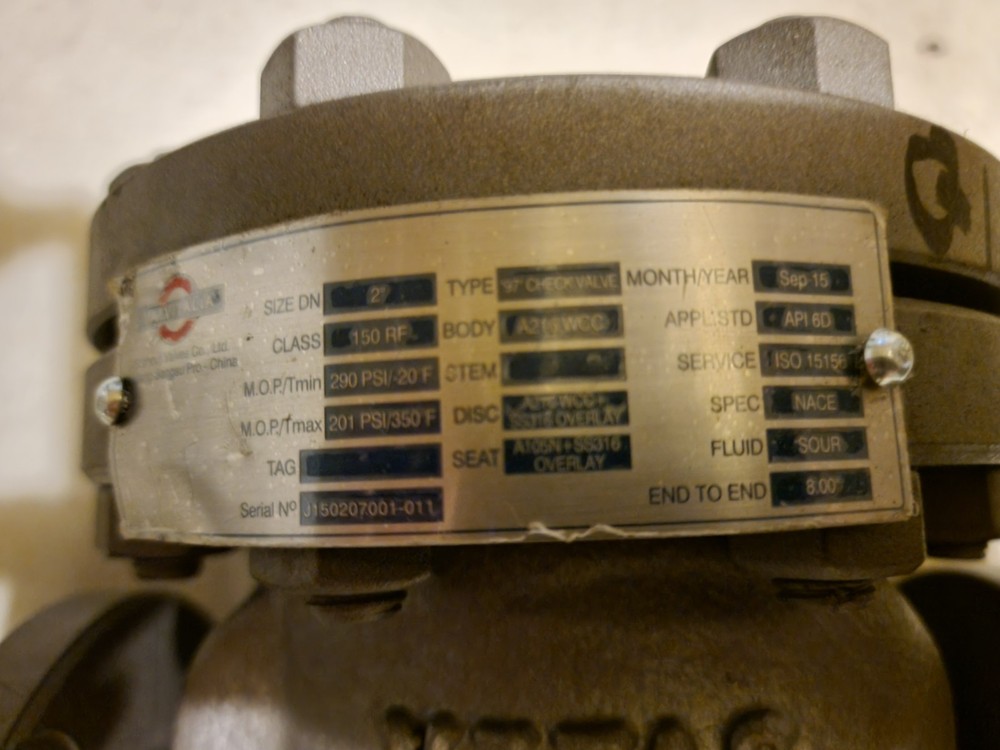 2" Swing Check Valve