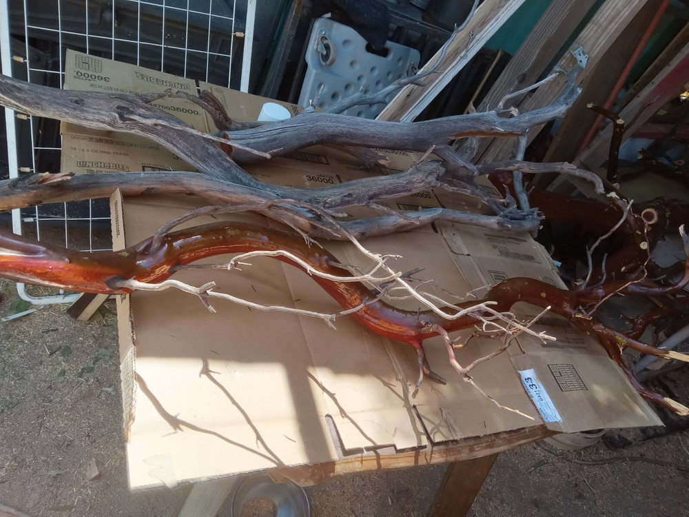 manzanita wood