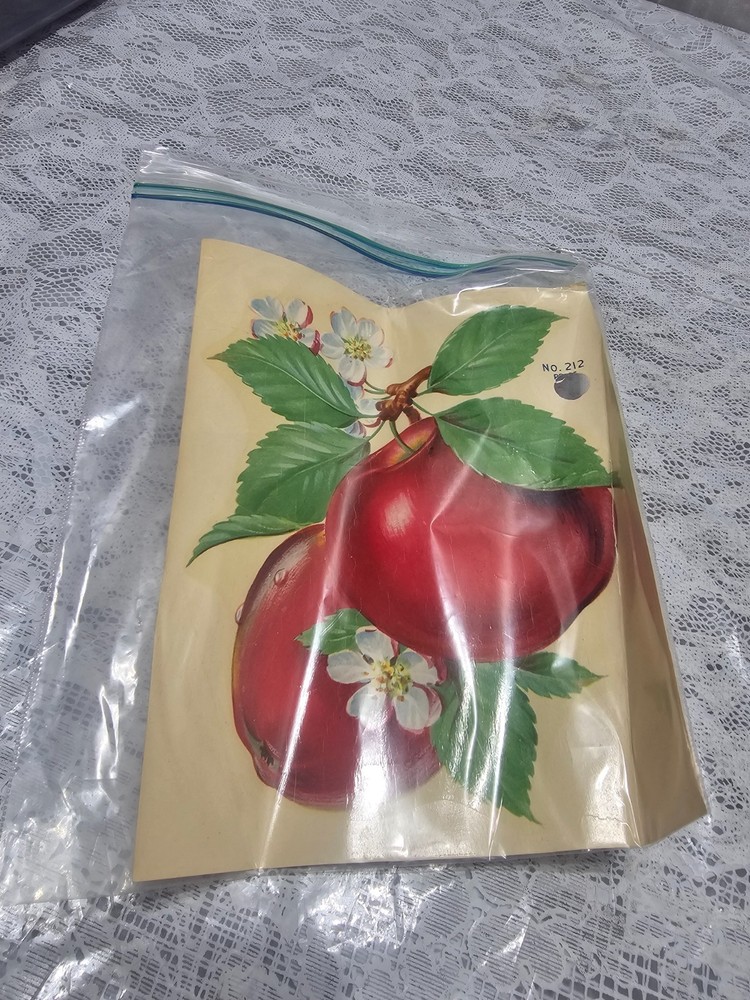 Vintage Eagle Decorative Decals Pattern Number 212