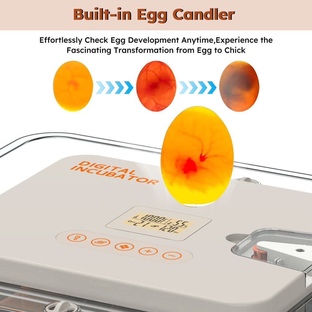 New Automatic Egg Incubators 56 Egg Turning Egg Hatching Temp & Humidity Control