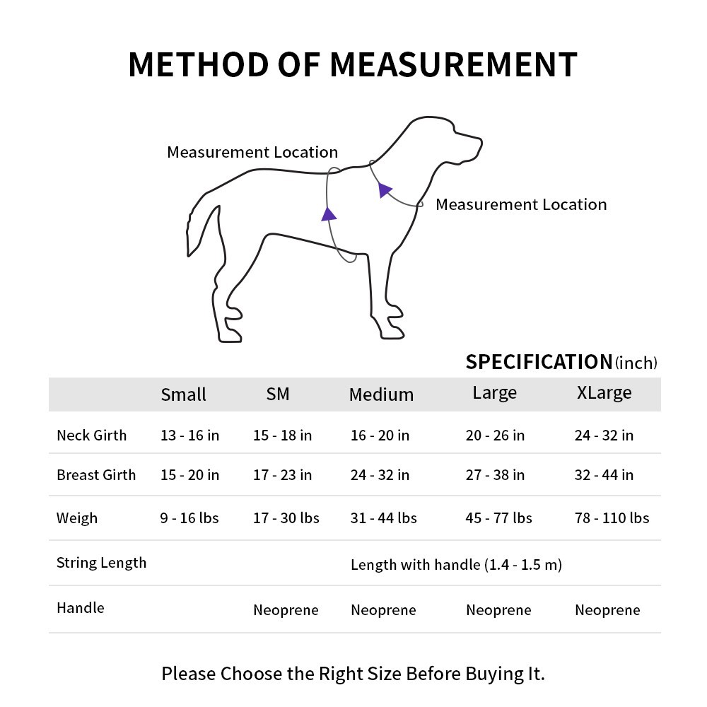Tailhigh GingkoBlue Hybrid Dog Harness