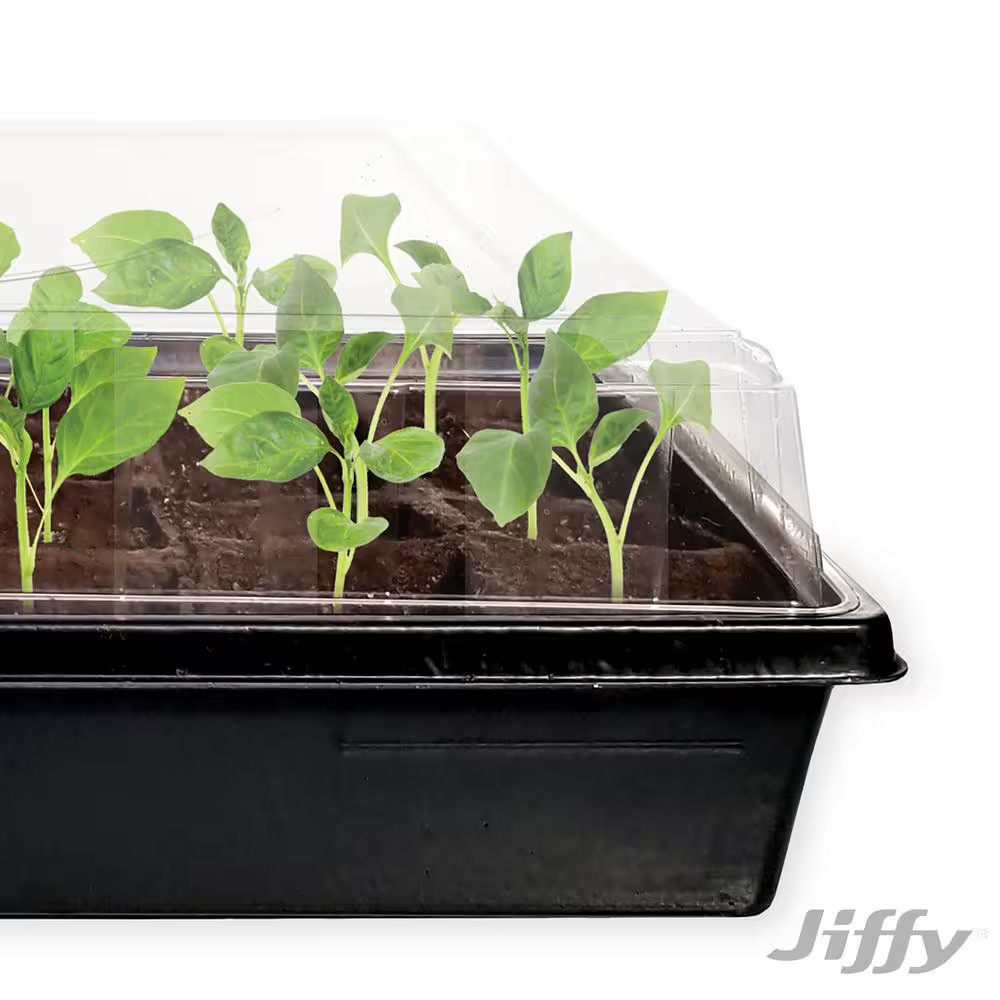 Peat Strips N' Greenhouse Seed Starter Kit