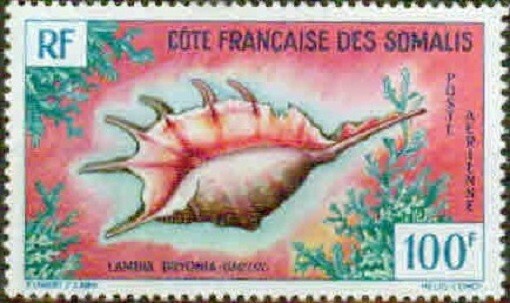 FRENCH SOMALI COAST-1962- SHELLS -VF**