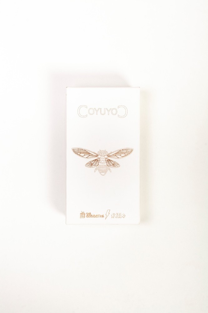 CoyuyoC Analog Drone Synth