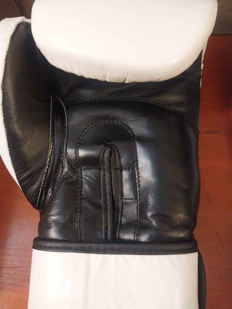 Daniel Gracie 16oz gloves