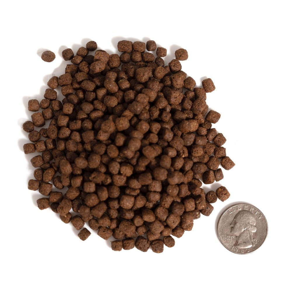 Waterfowl Food - BJPond