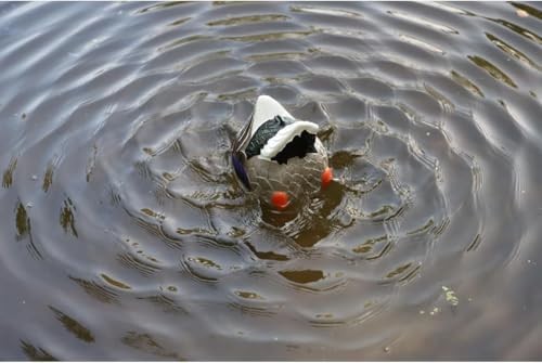 Mojo Butt Up Rippler, Mallard