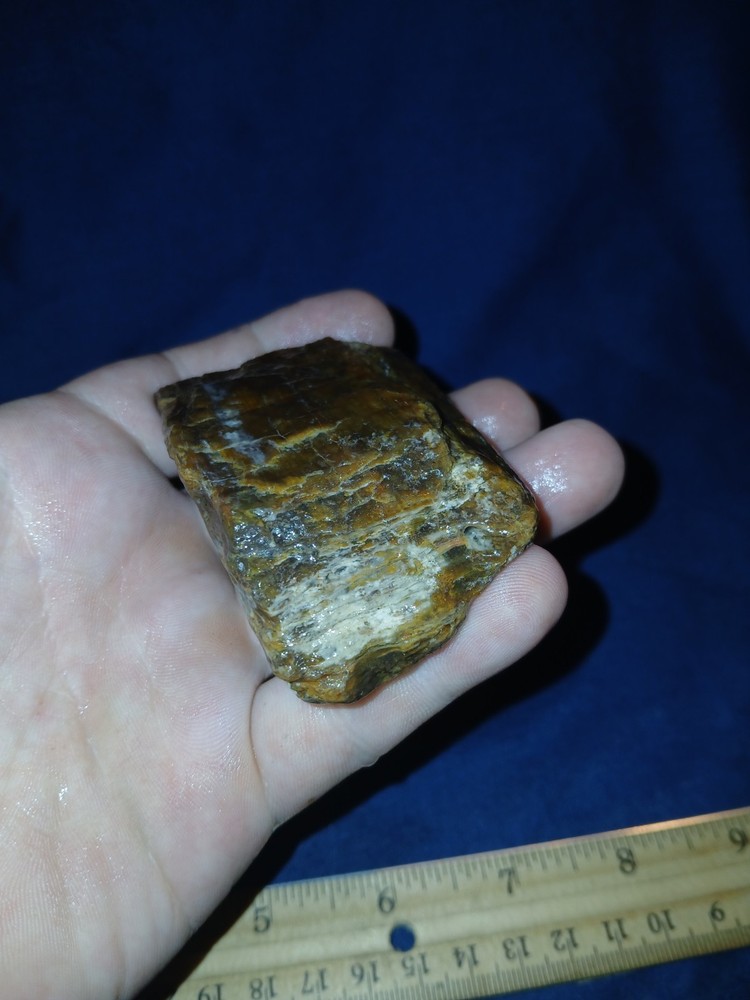 4.5 oz Agatized Petrified Wood