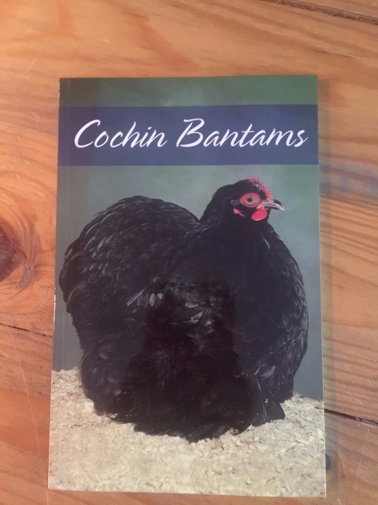 Cochin Bantams