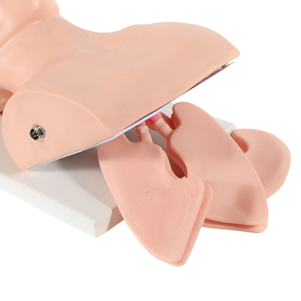 Intubation Manikin Study Teaching Simulator Airway Management Trainer Tool Model