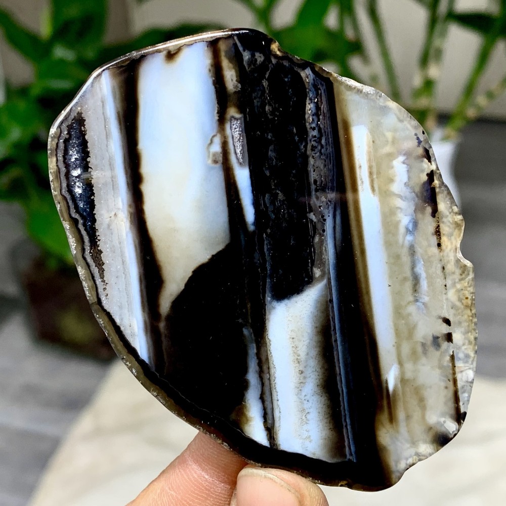 44G Natural Beautiful Agate Geode Druzy Slice Extra Large Gemstone