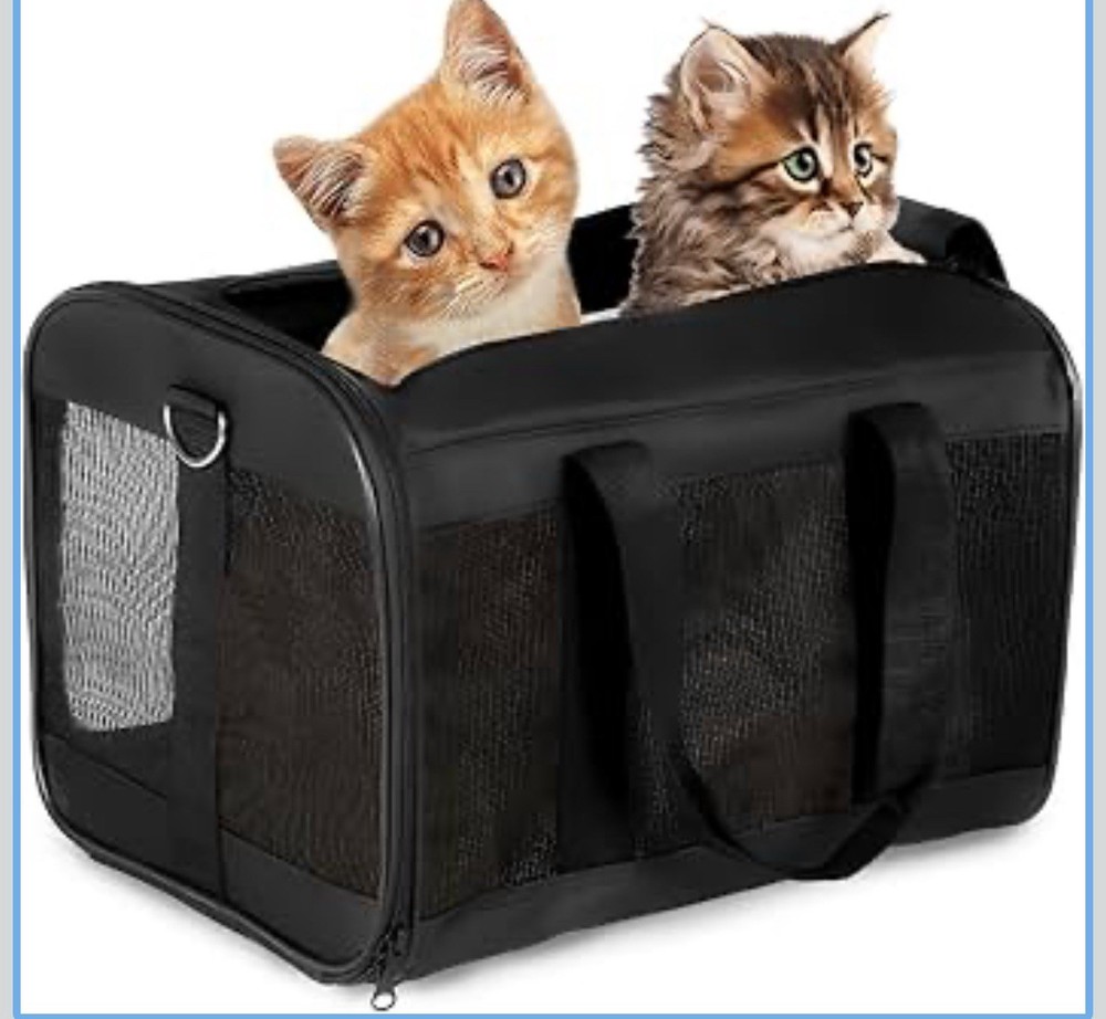 PIZVOX Small/Medium Pet Carrier - Black