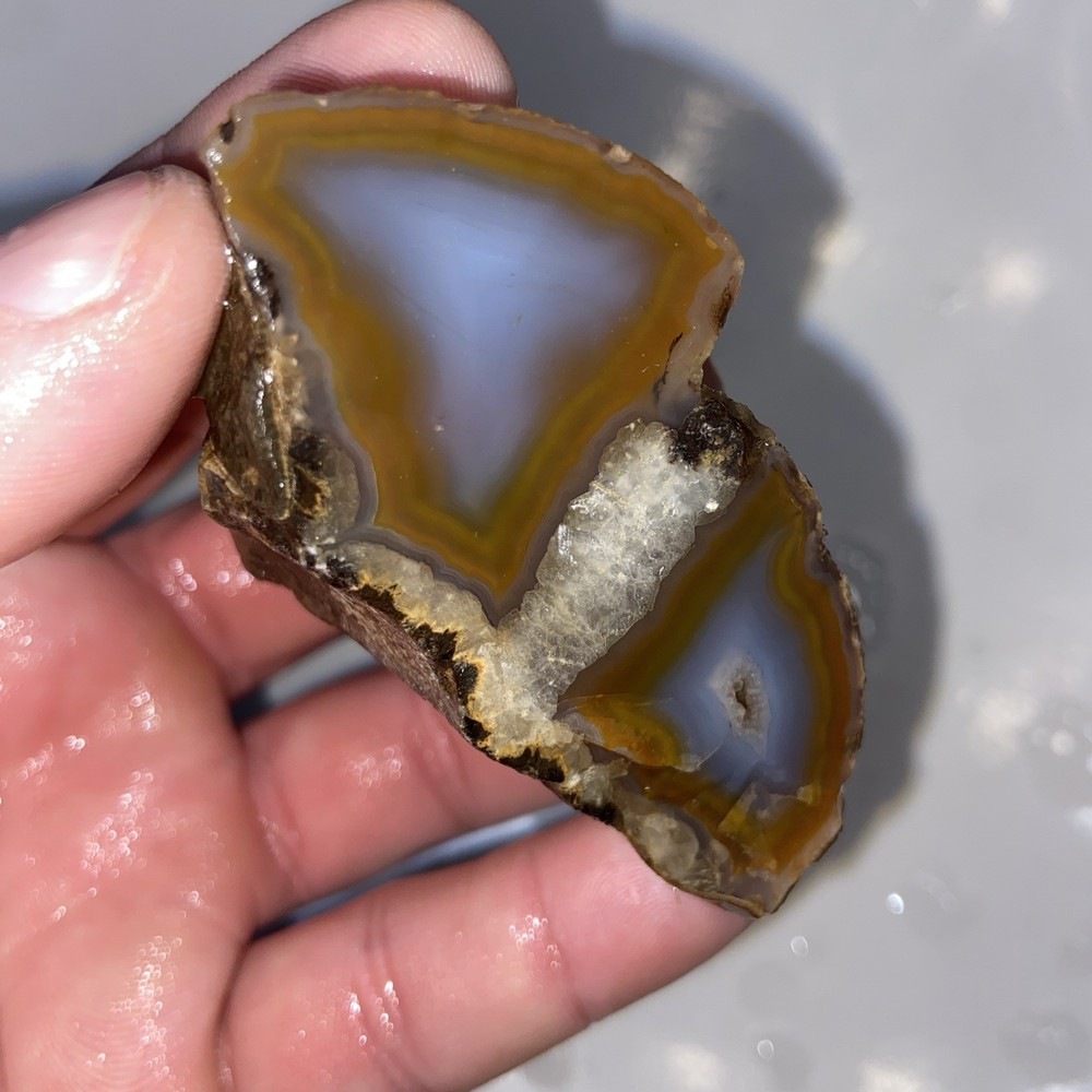 Very Unique Double Celled Agate Rough Stone 4 Oz