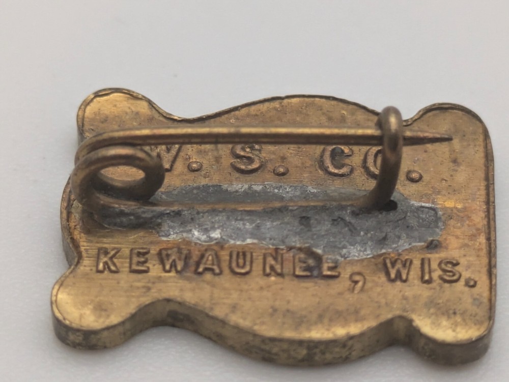 WSMA Award Lapel Pin