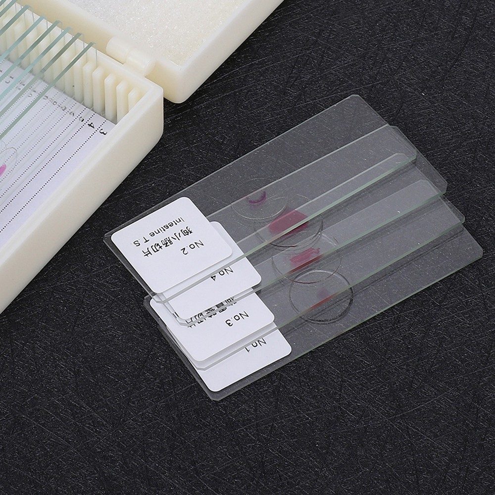 DW-25 25Pcs Animal Slide Set For Microscope Study Science Education