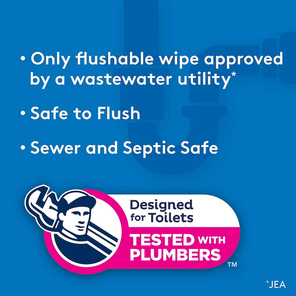 Flushable Wipes (504 Count)