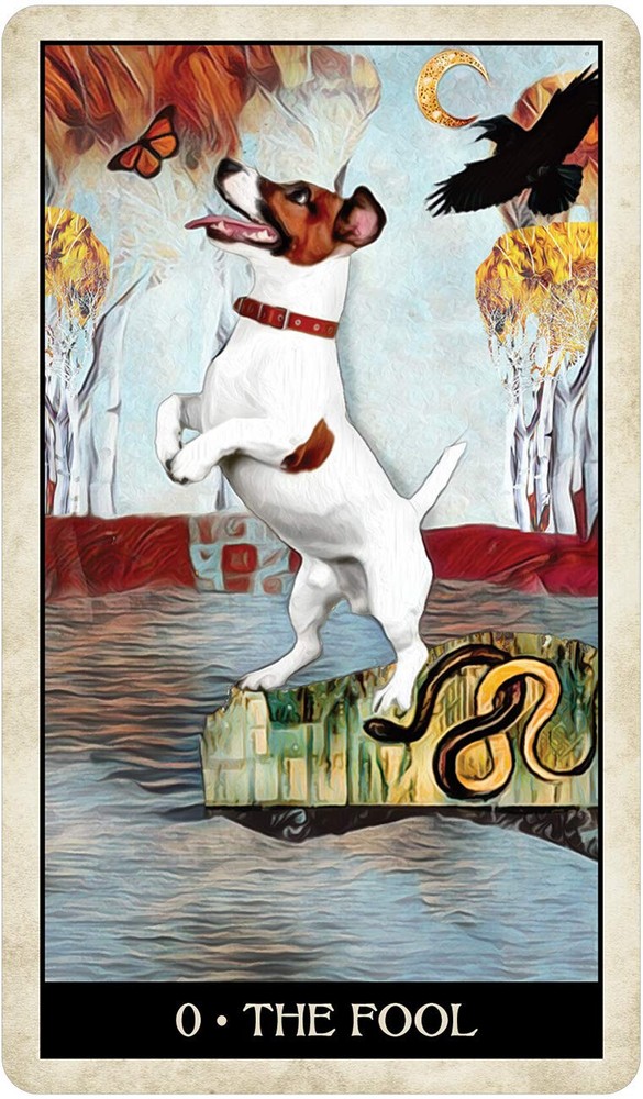 Wise Dog Tarot Card Deck!