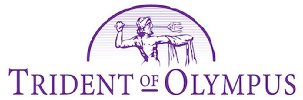 1 BEYOND PTZ Camera Silver PTZ-IP12