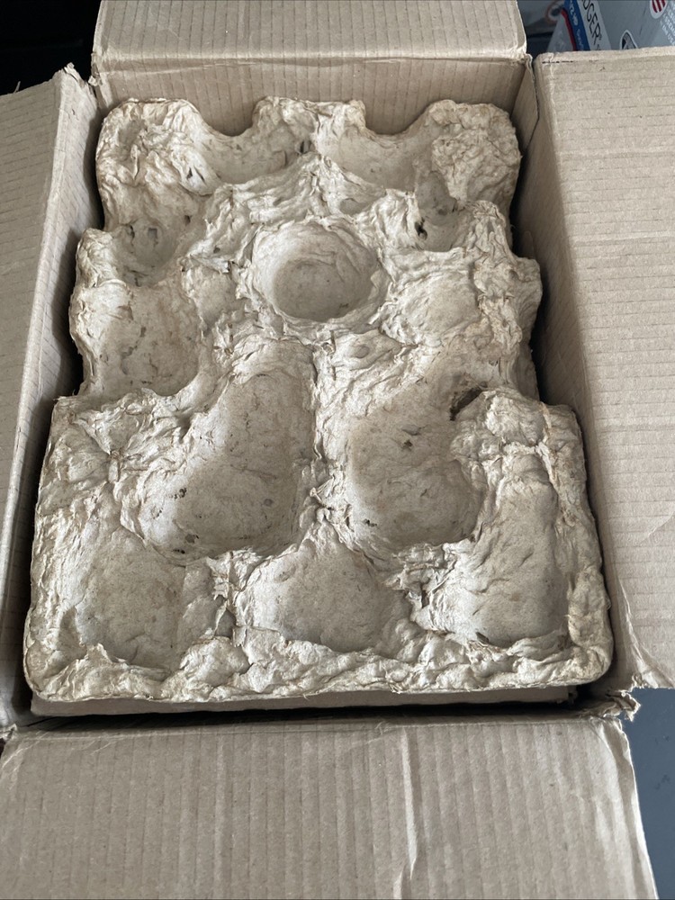 InSinkErator Evolution Pro 3/4 hp Cont. Feed Sound Seal Garbage Disposal