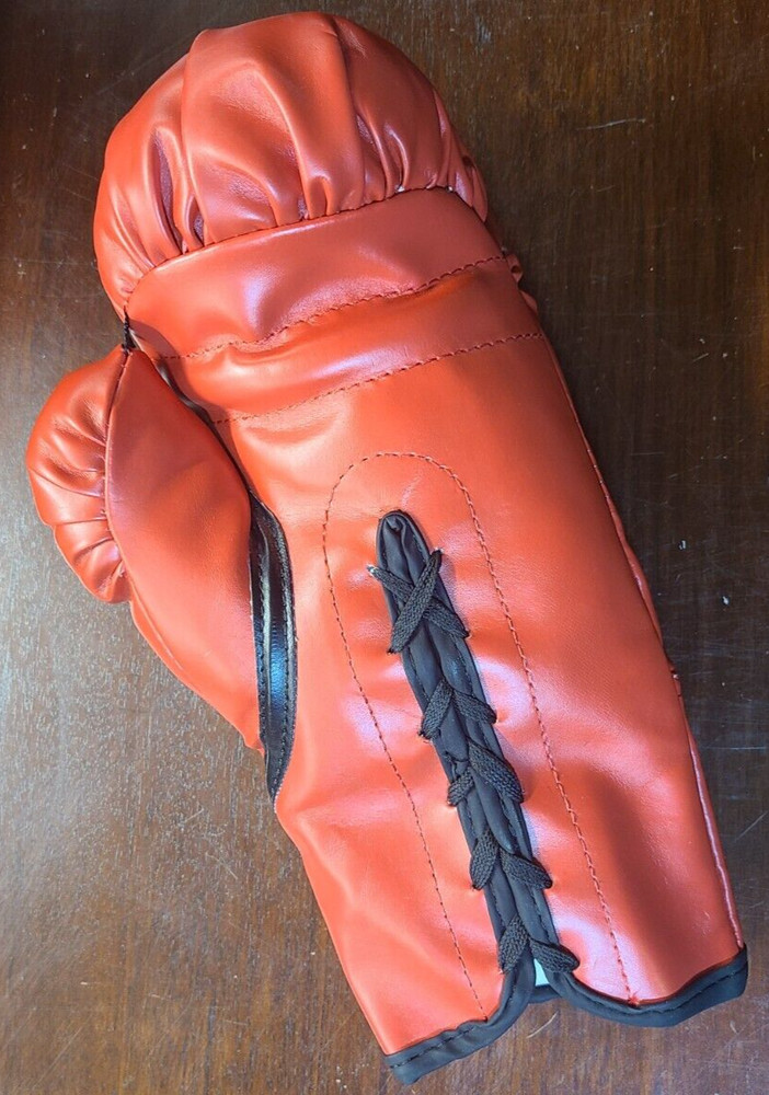 Everlast Boxing Glove