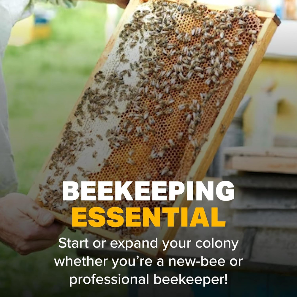 Formic Pro - 2 Doses - 4 Strips