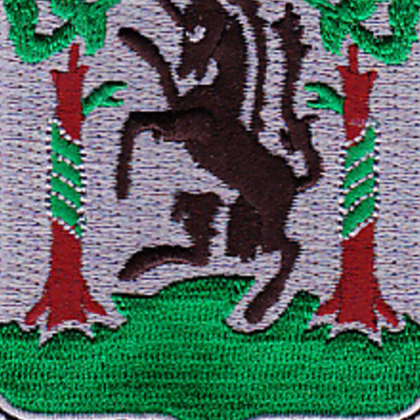 61st Medical Battalion Patch