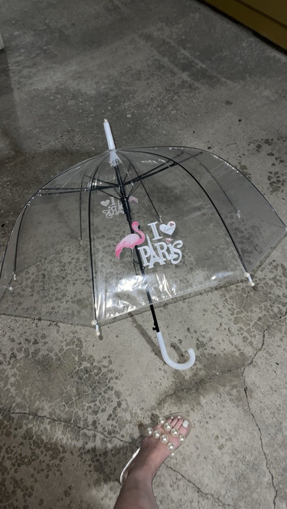clear paris umbrella