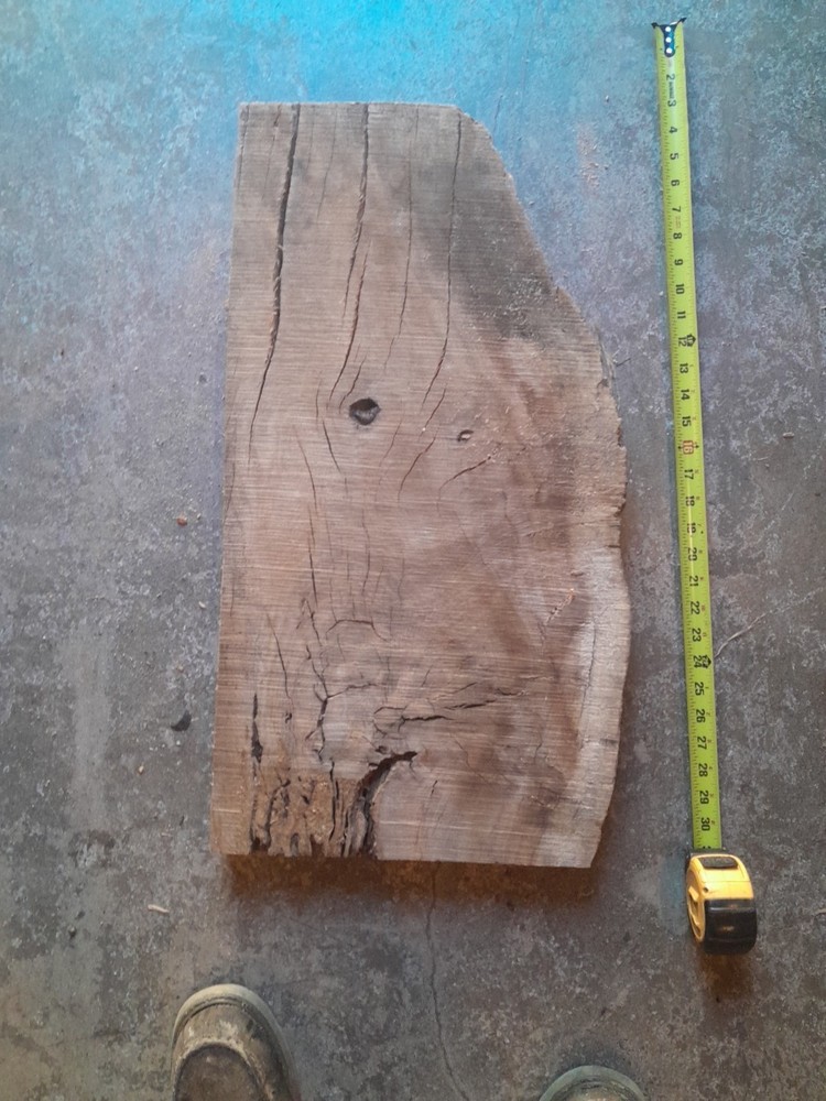 2inch Thick Oak Burl Live Edge Slab