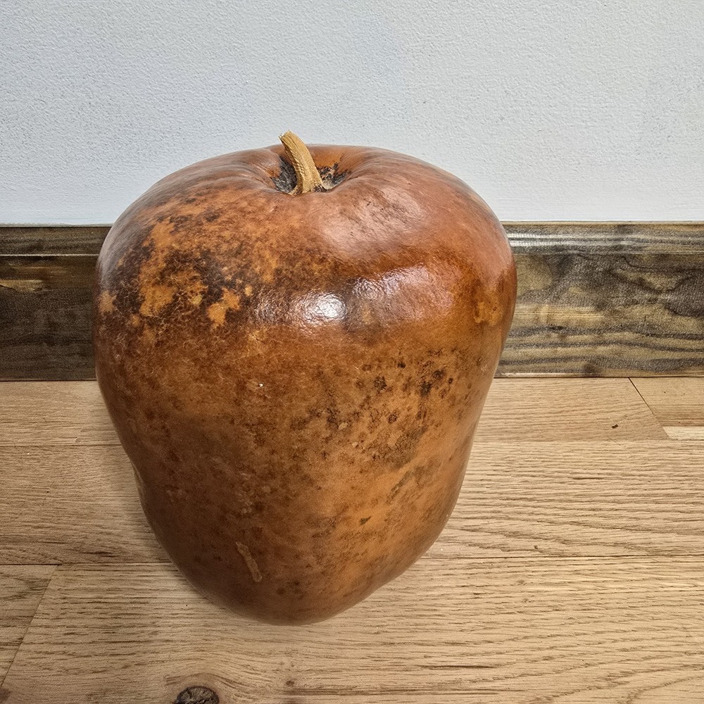 Hand Painted Gourd. Floral design. Great condition. Signed
