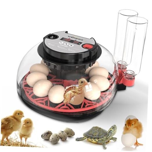 incubators for hatching eggs，12 Egg Incubator,egg incubator with automatic egg