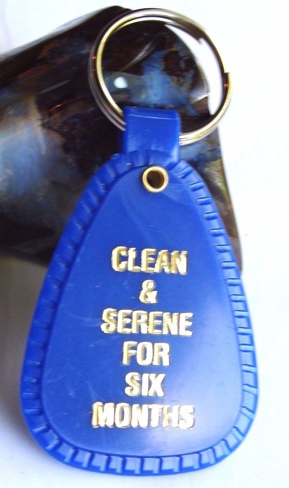 Narcotics Anonymous NA 6 Months Recovery Clean Key Ring Tag Chain  blue