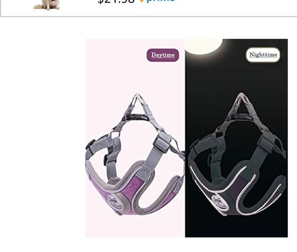 No pull dog camisole reflective small dog leash/harness