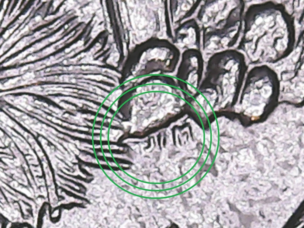 2008 P Arizona State Quarter with Die Chips.