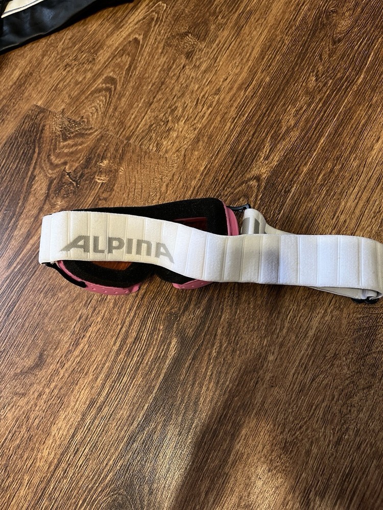 Alpina Singleflex Ski Mask