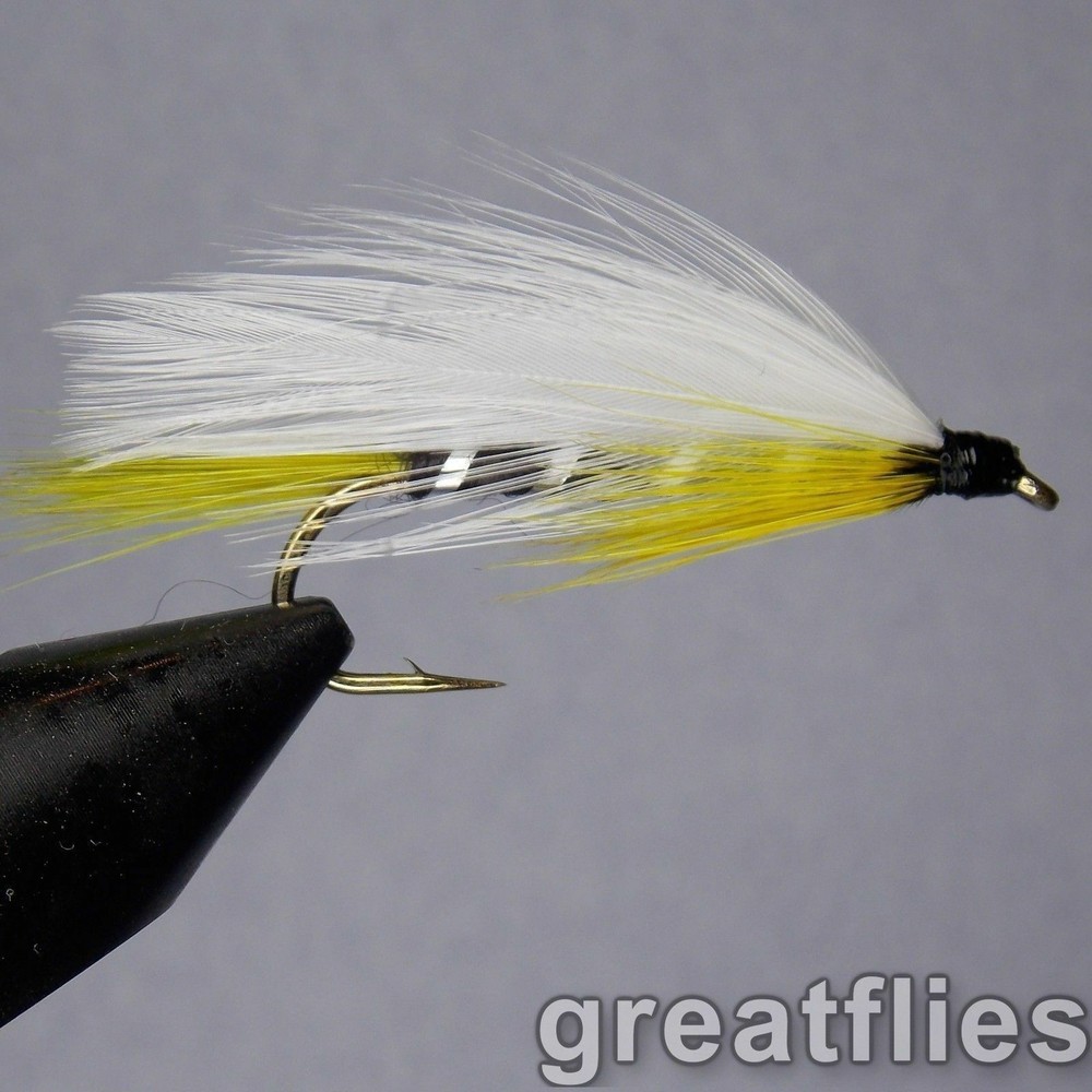 1 dozen (12) - Black Ghost