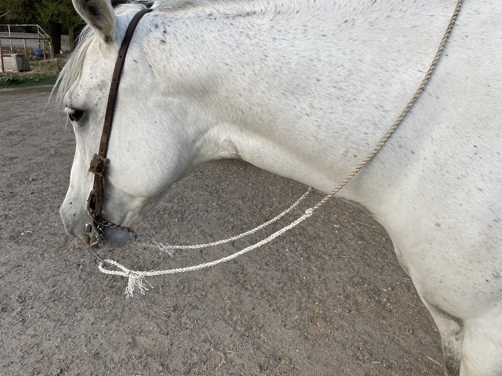 8' 2”Braided Two Strand TeamRope- Roping Reins - LightBlue