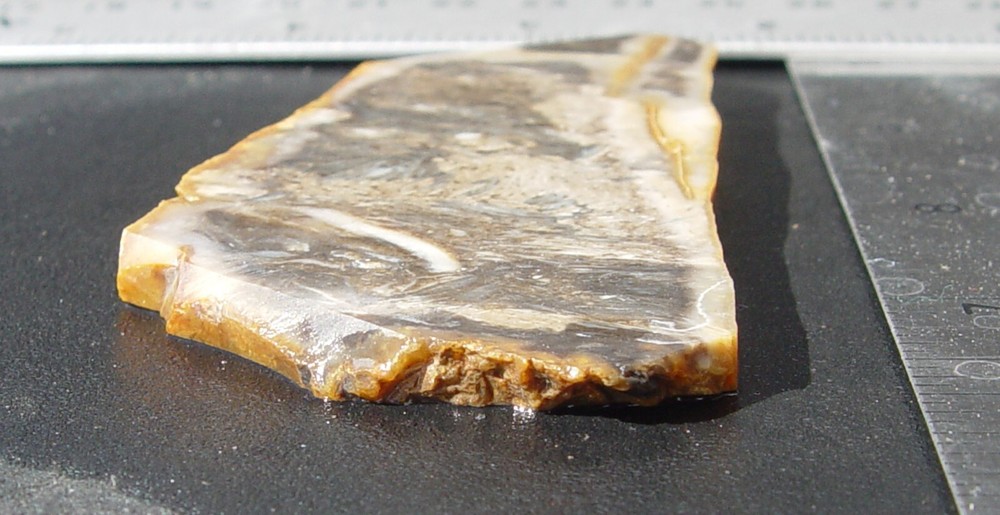 Feather Agate Lapidary Slab Indonesia T1237