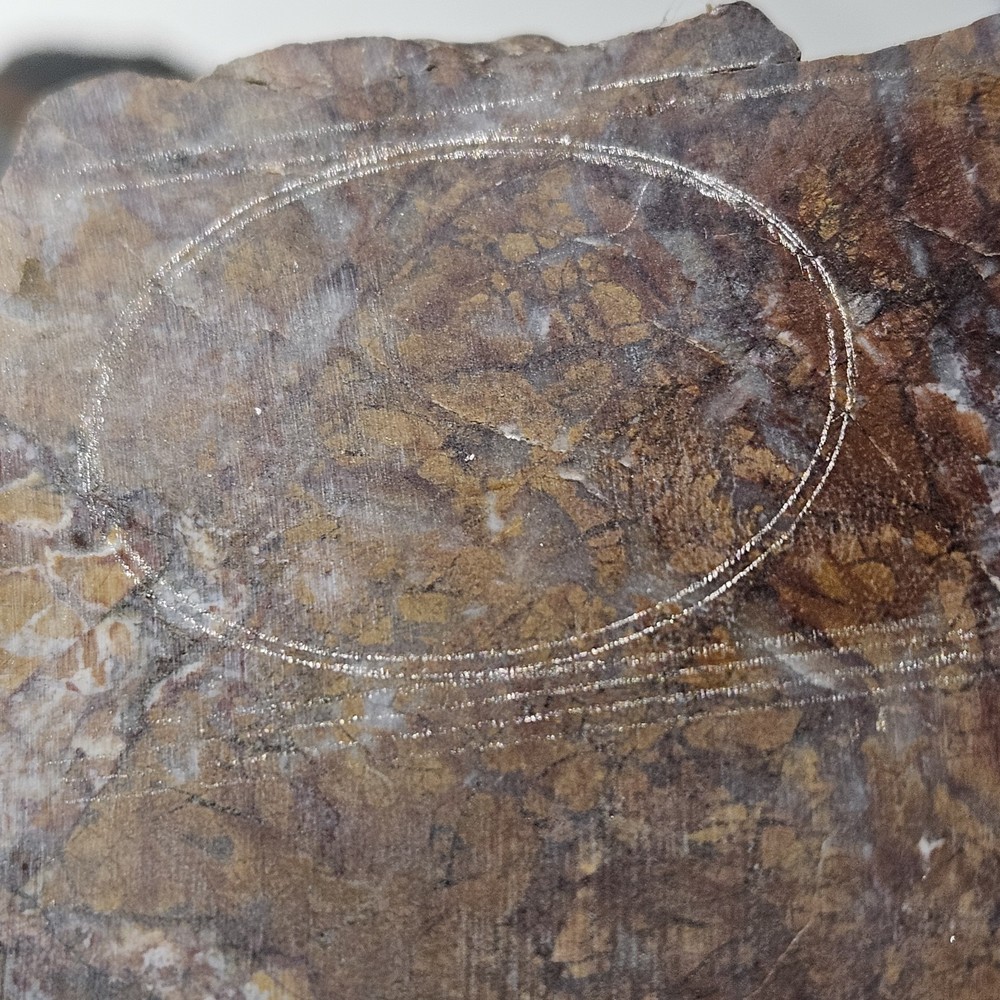 Jasper Lapidary Slab 62 Grams