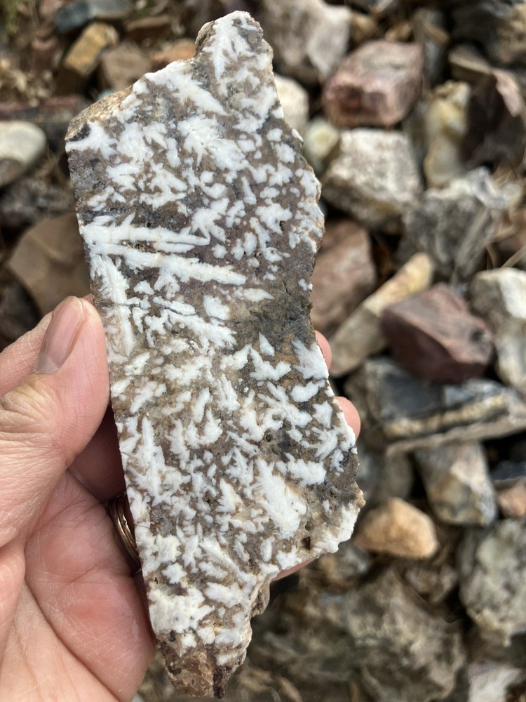 Mexican Snow Plume Agate Slab