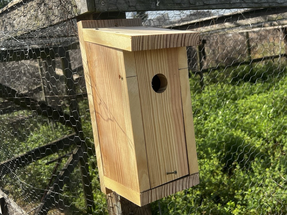 Blue Bird Box Made From Yellow Pine