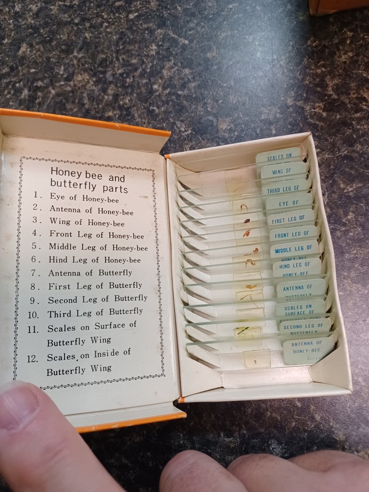 Vintage Sears Prepared And Labeled Microscope Slides