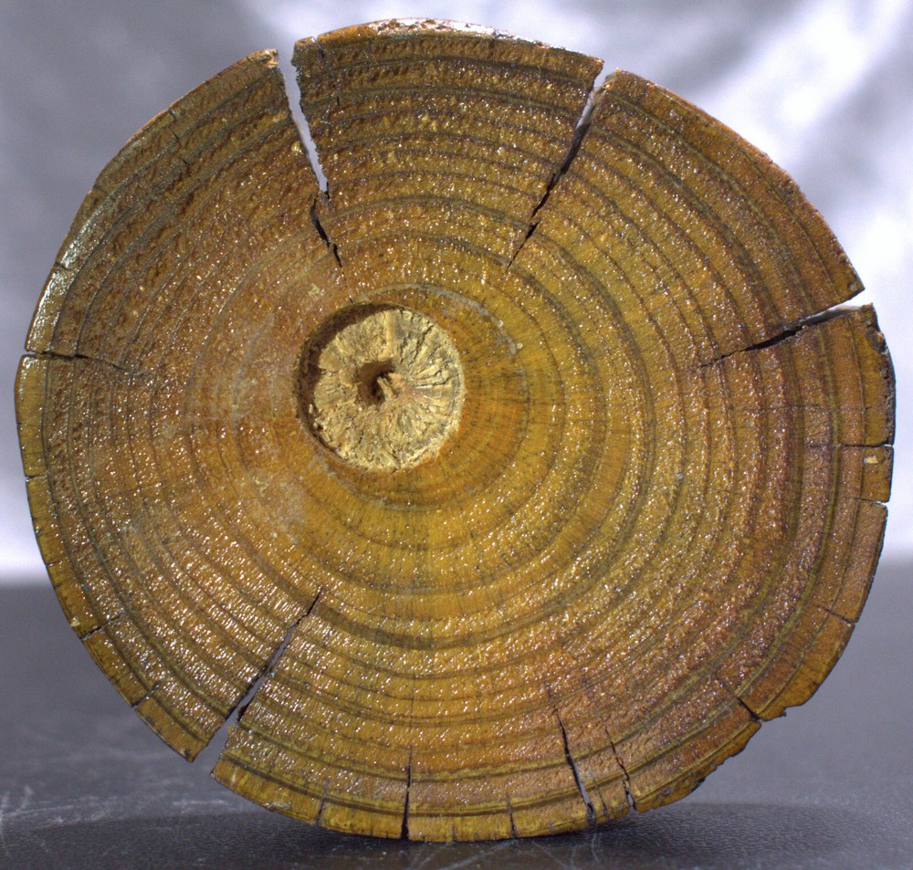 Rustic Wood Slab Sphere Stand 4"/76 Grams