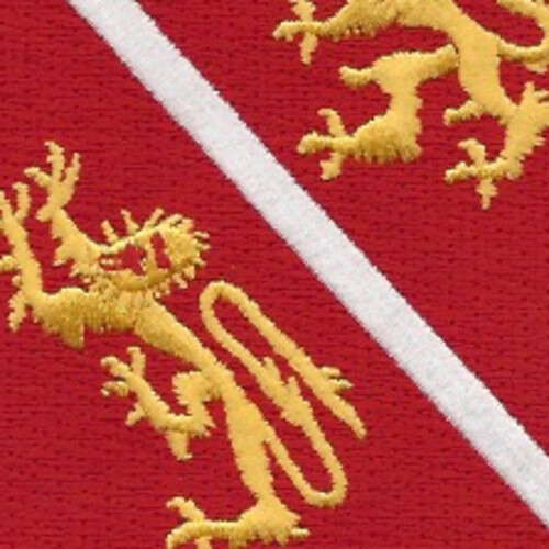 291st Engineering Battalion Patch