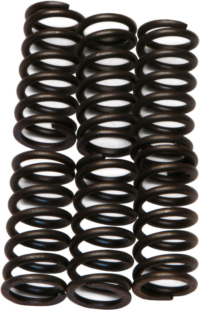 EBC Clutch Spring Set - Clutch Springs - CSK6